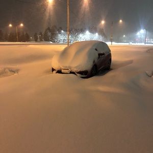 Meet your Posher, Ben